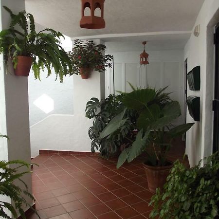 Apartamento En Conil Коніль-де-ла-Фронтера Екстер'єр фото
