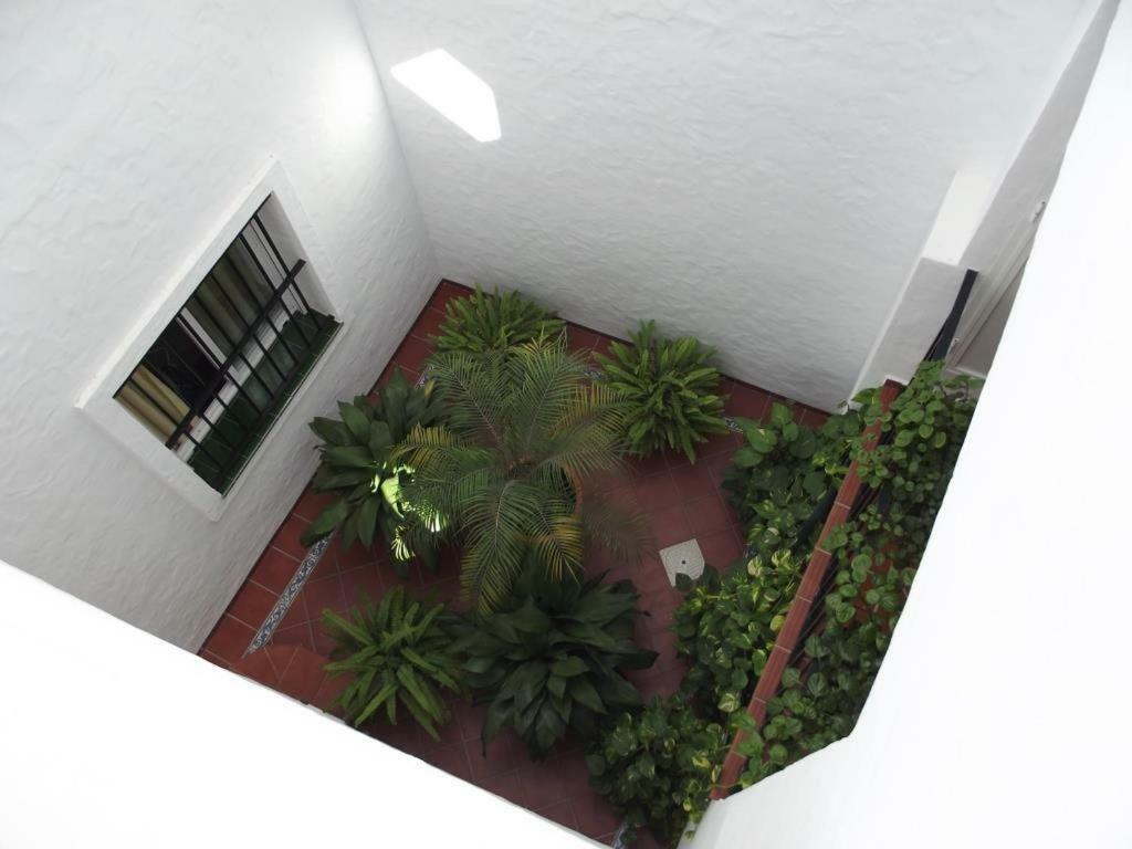 Apartamento En Conil Коніль-де-ла-Фронтера Екстер'єр фото