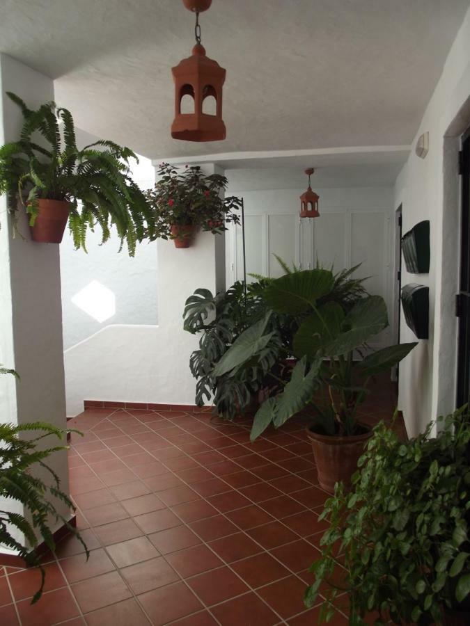Apartamento En Conil Коніль-де-ла-Фронтера Екстер'єр фото